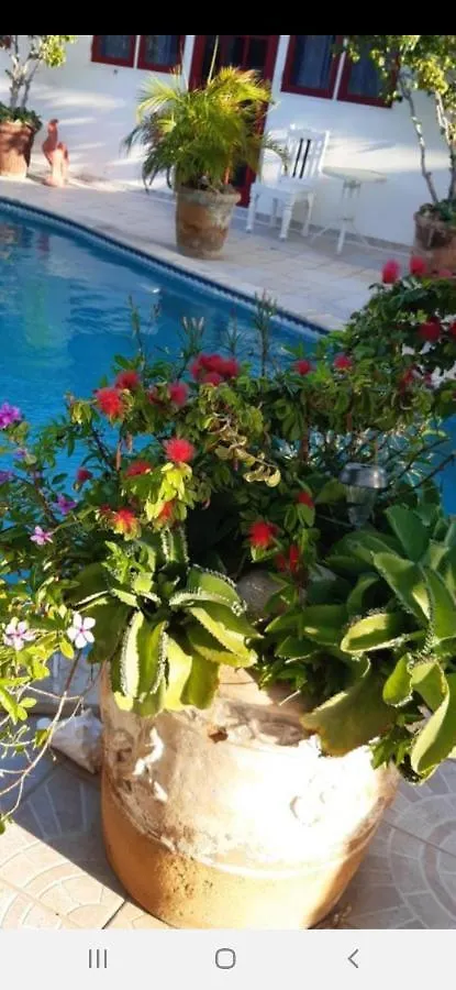 Palmita Hotel Hostel Oranjestad 0*,