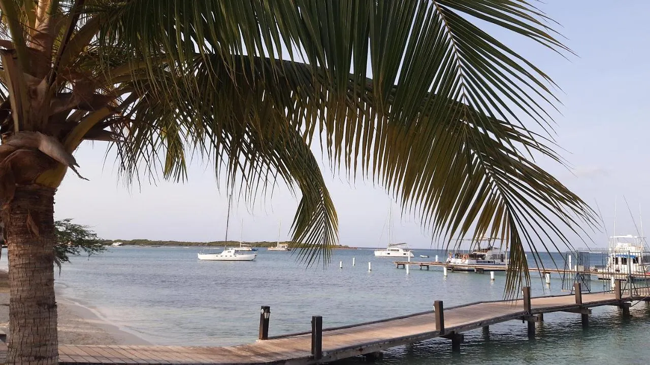 Palmita Hotel Hostel Oranjestad