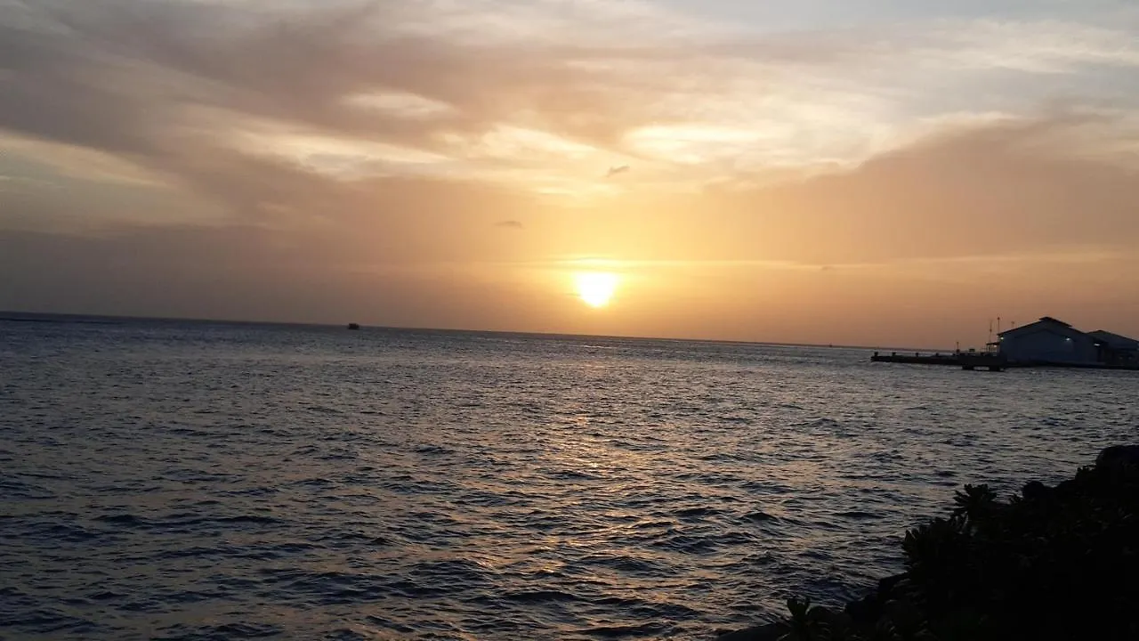 Palmita Hotel Hostel Oranjestad Aruba