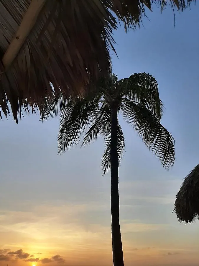 Palmita Hotel Hostel Oranjestad 0*,  Aruba