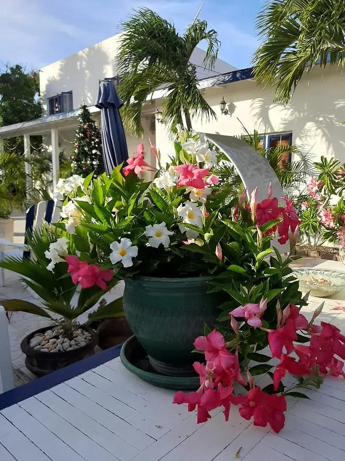Palmita Hotel Hostel Oranjestad