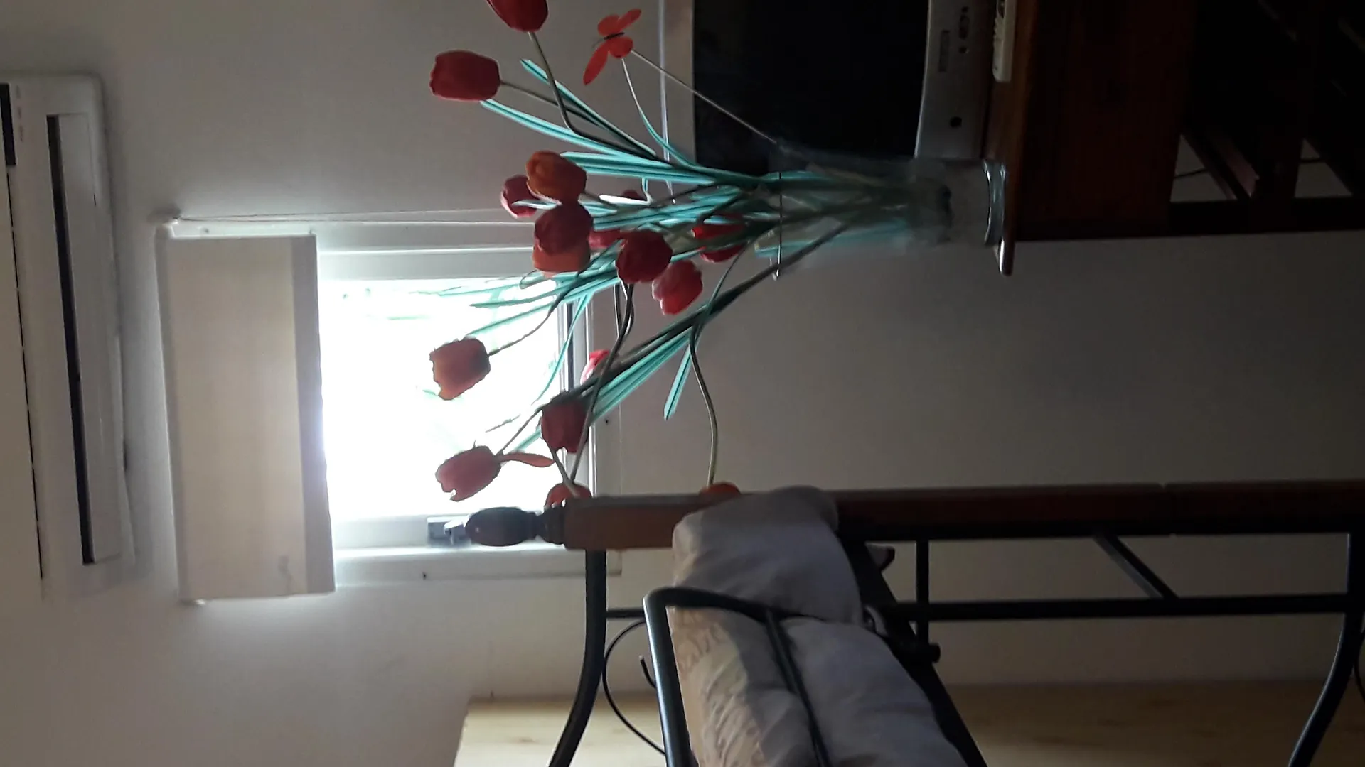 Palmita Hotel Hostel Oranjestad