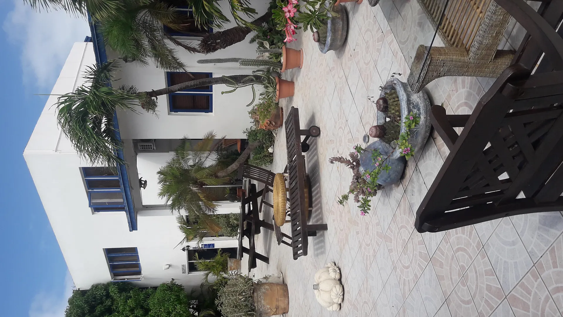 Palmita Hotel Hostel Oranjestad