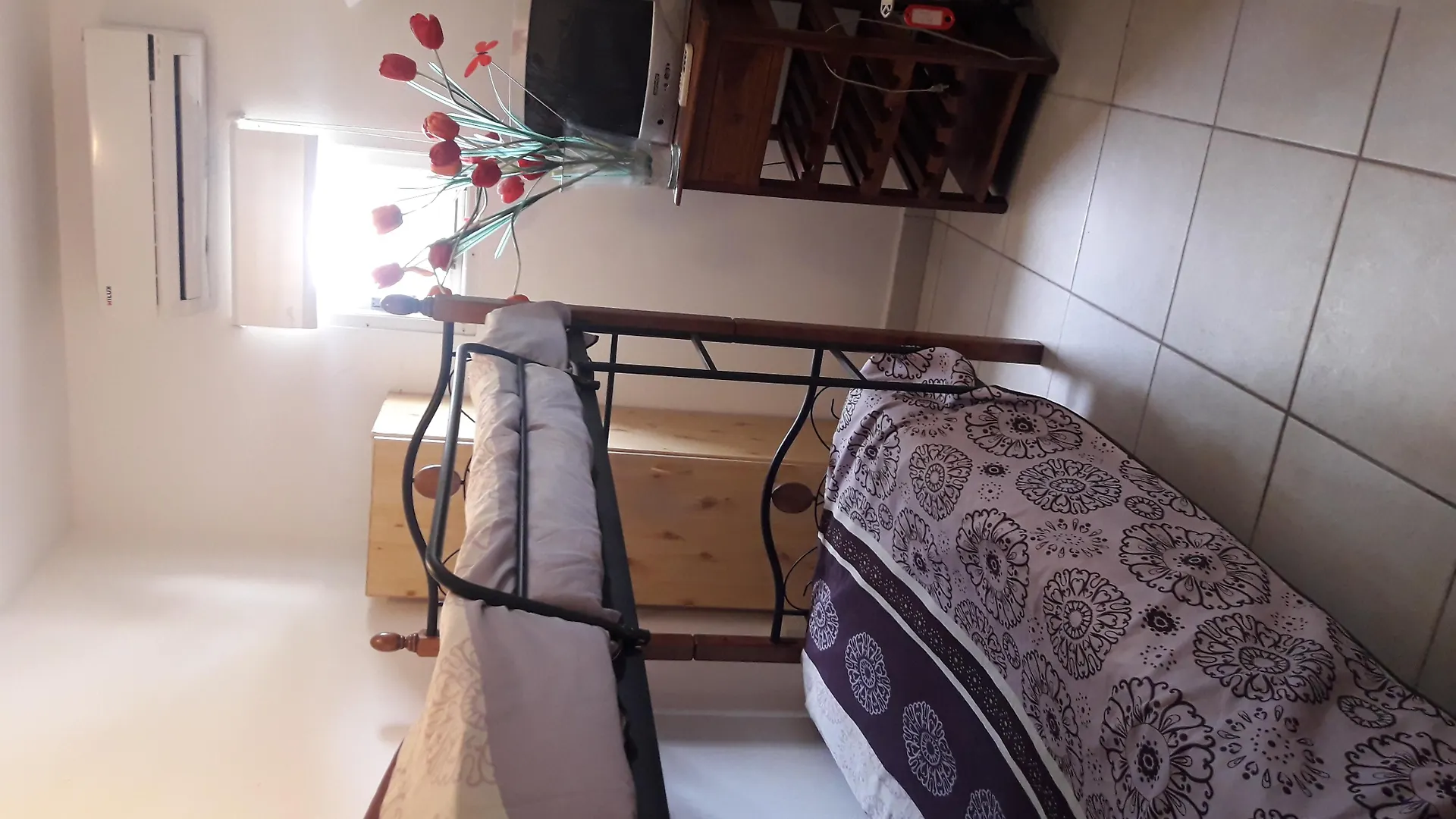 Palmita Hotel Hostel Oranjestad Aruba
