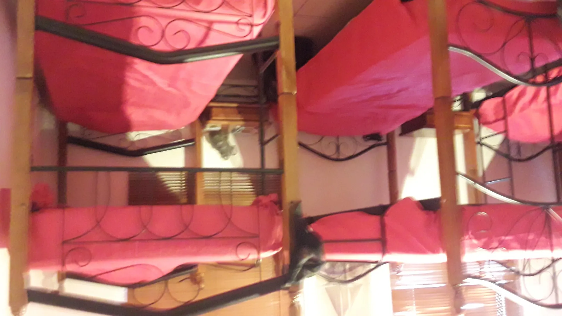 Palmita Hotel Hostel Oranjestad 0*,