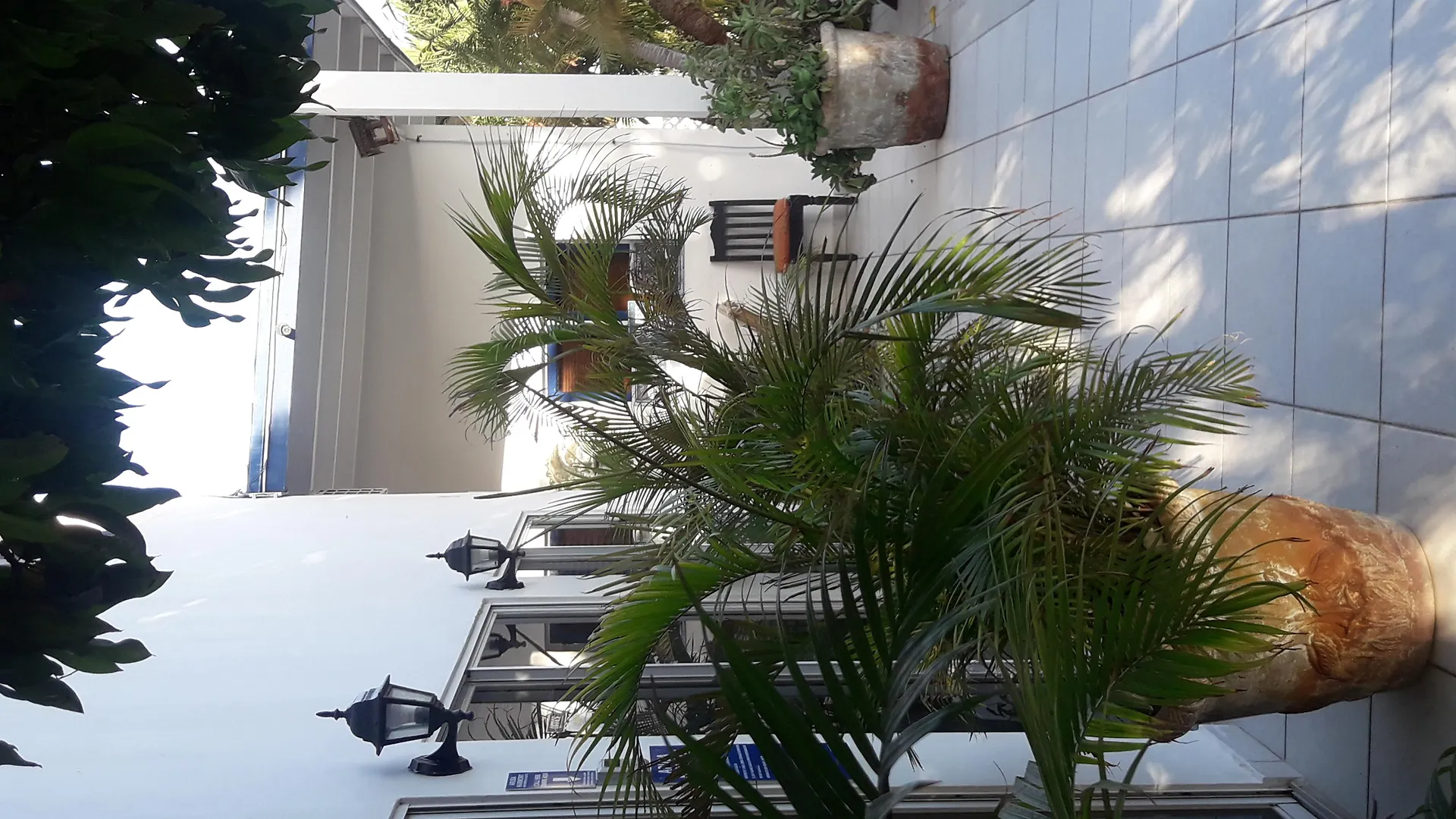 Palmita Hotel Hostel Oranjestad Aruba