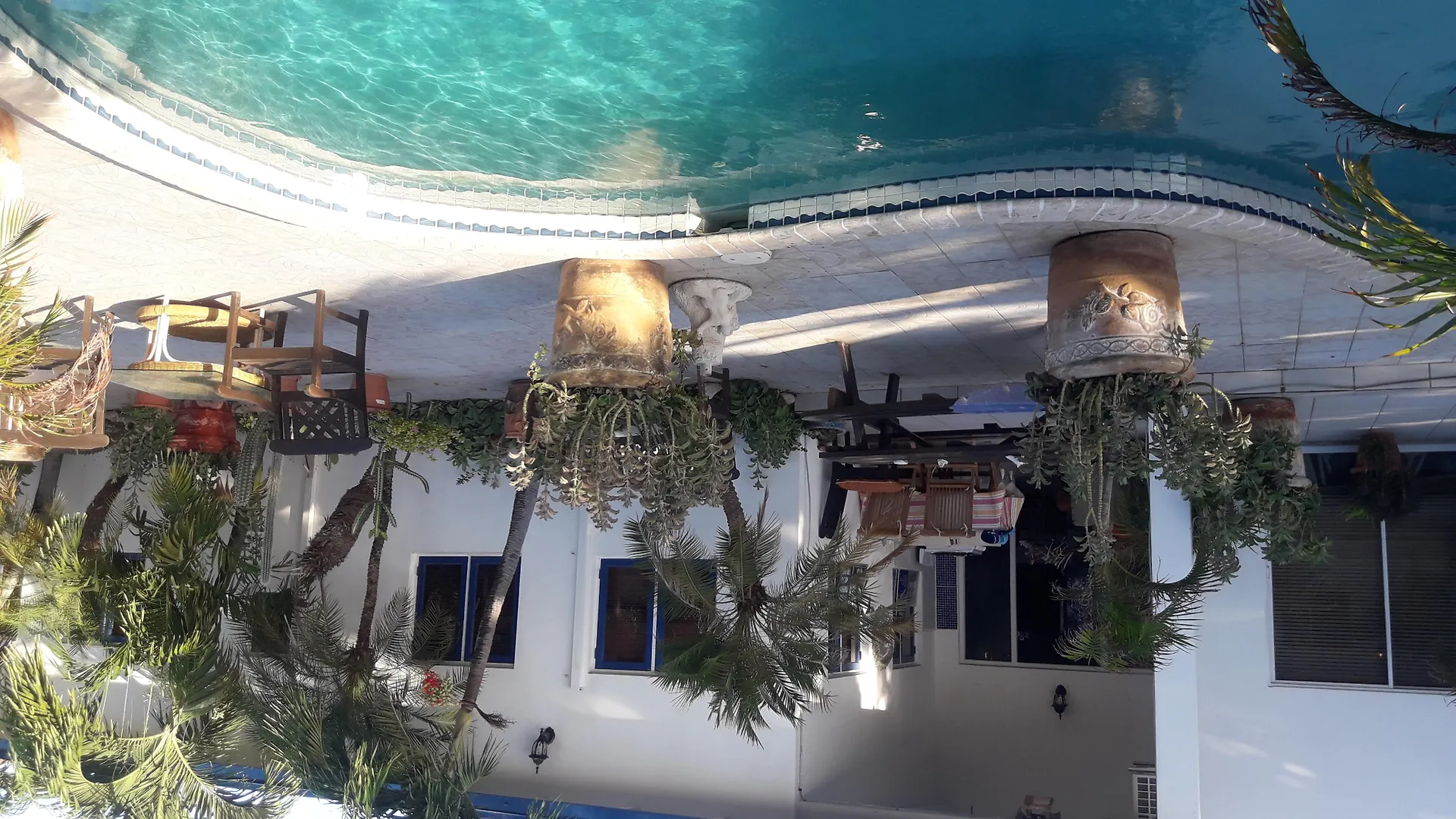 Palmita Hotel Hostel Oranjestad