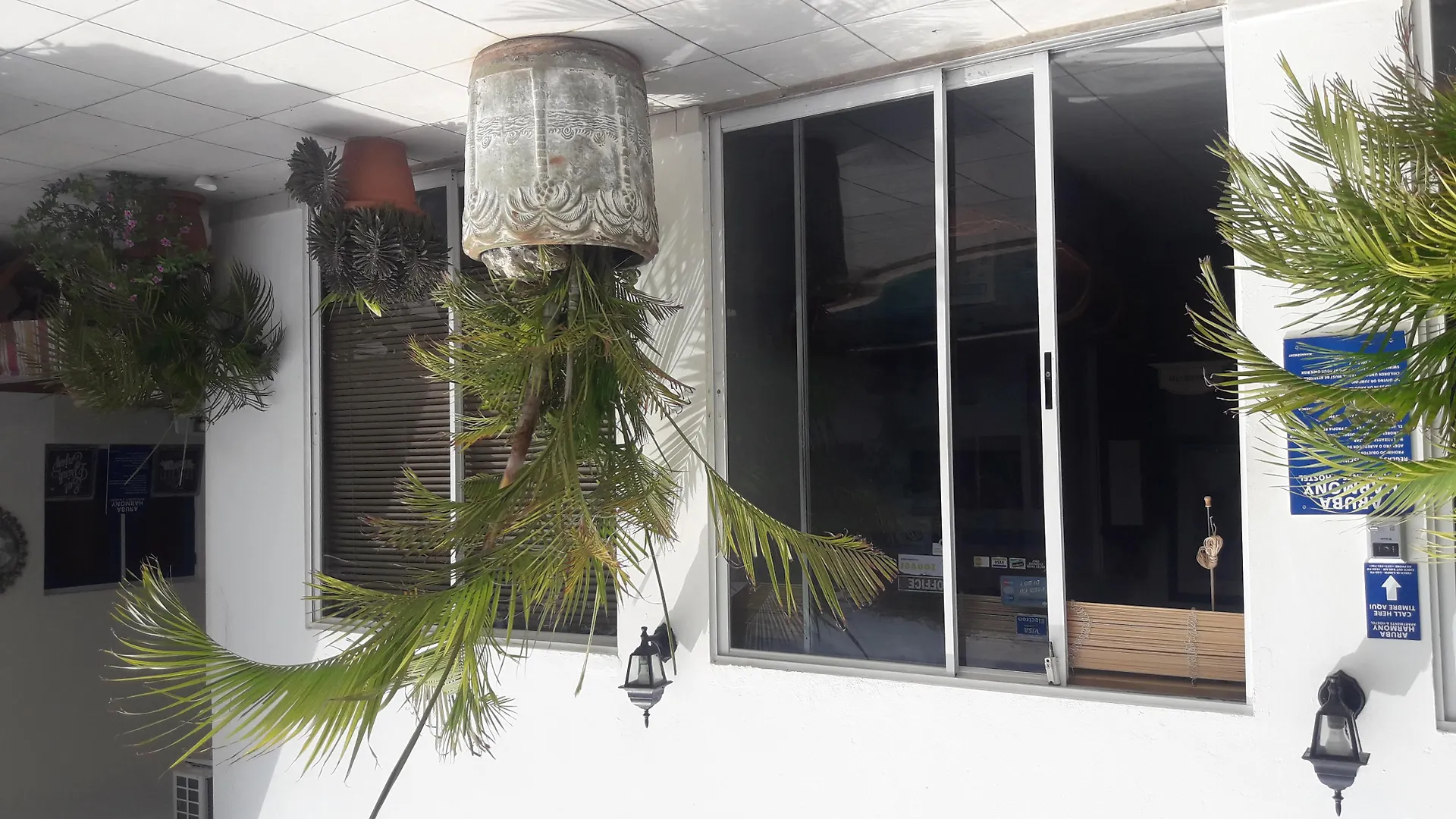 Palmita Hotel Hostel Oranjestad