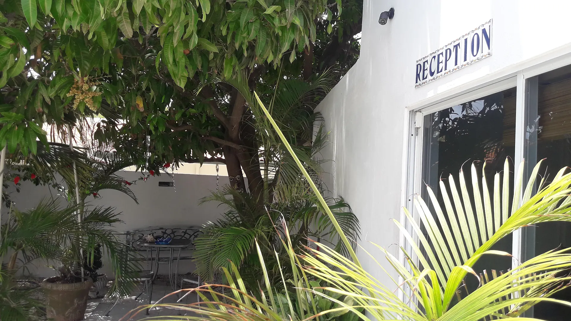 Palmita Hotel Hostel Oranjestad Aruba