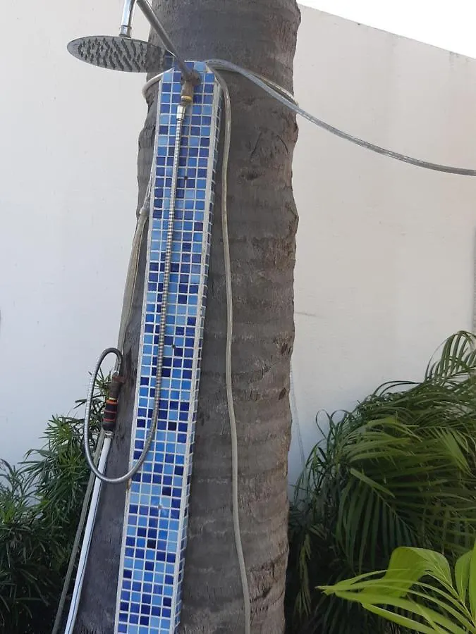 Palmita Hotel Hostel Oranjestad