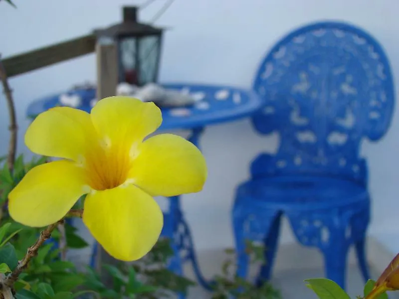 Palmita Hotel Hostel Oranjestad
