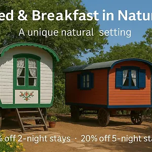 Bed and breakfast Mammaloe, Oranjestad