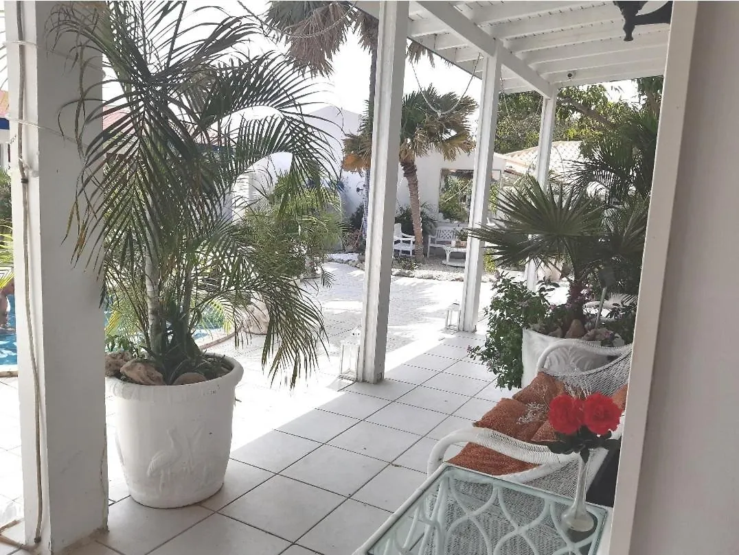 Palmita Hotel Hostel Oranjestad